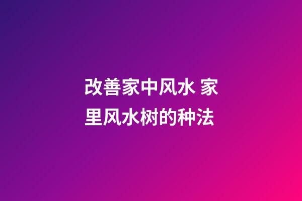 改善家中风水 家里风水树的种法